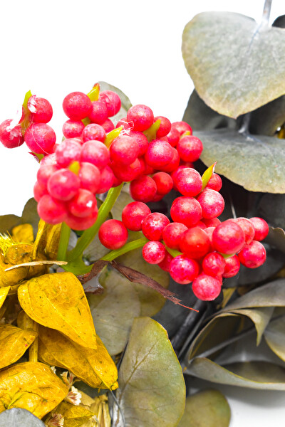 Waldern Yılbaşı Dekorasyon Kapı Süsü Çelengi