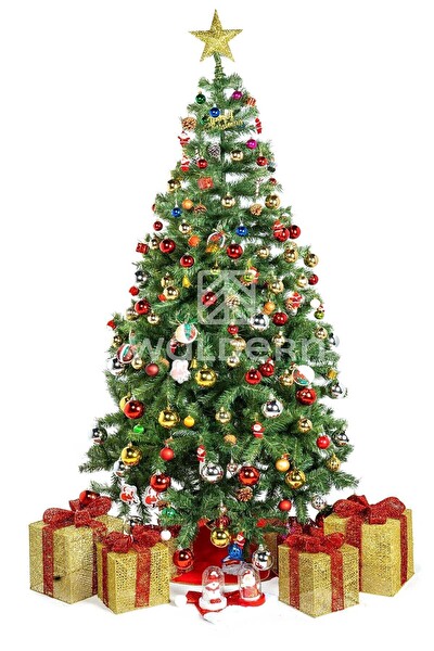 Waldern Premium Luxury Series 210 CM Yılbaşı Çam Ağacı