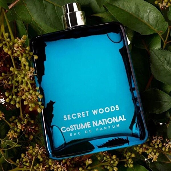 Costume National Secret Woods EDP 100 ml Erkek Parfümü
