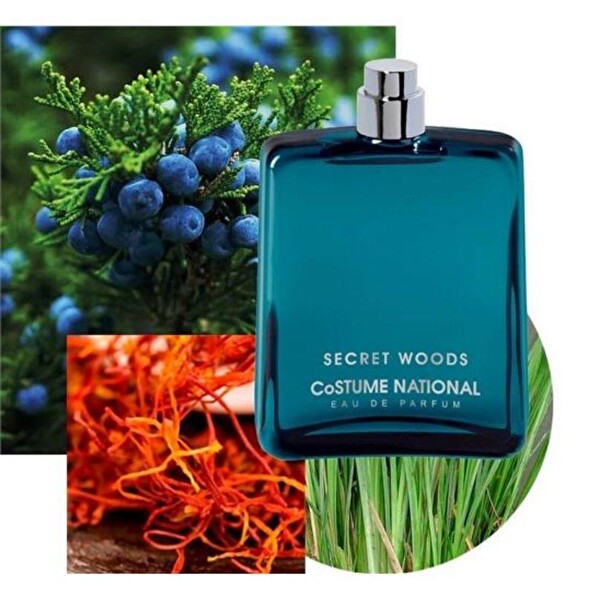 Costume National Secret Woods EDP 100 ml Erkek Parfümü