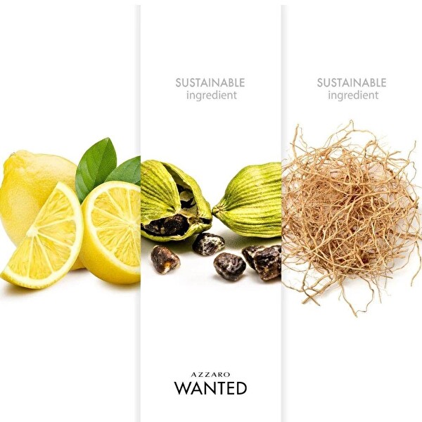 Azzaro Wanted EDT 100 ml Erkek Parfümü