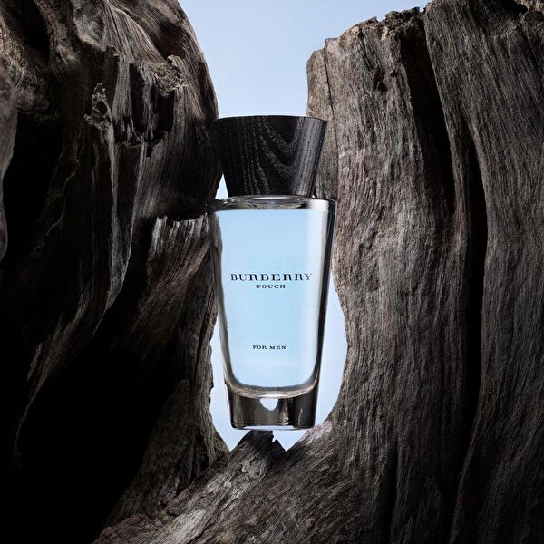 Burberry Touch EDT 100 ml Erkek Parfümü