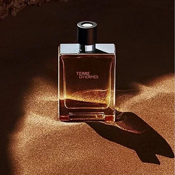 Hermes Terre D'Hermes EDT 100 ml Erkek Parfümü