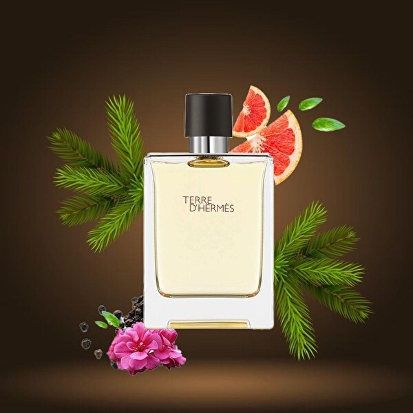 Hermes Terre D'Hermes EDT 100 ml Erkek Parfümü