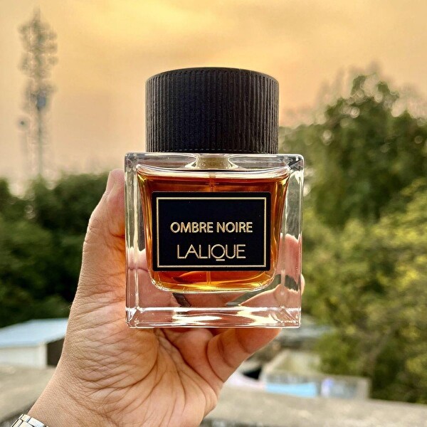 Lalique Ombre Noire EDP 100 ml Erkek Parfümü