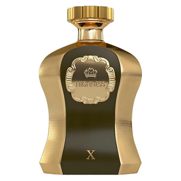 Afnan Highness X EDP 100 ml Erkek Parfümü