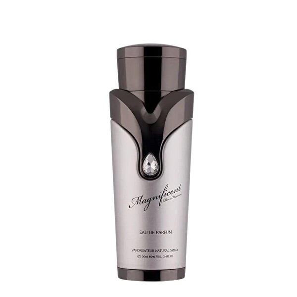 Armaf Magnificent Pour Homme EDP 100 ml Erkek Parfümü