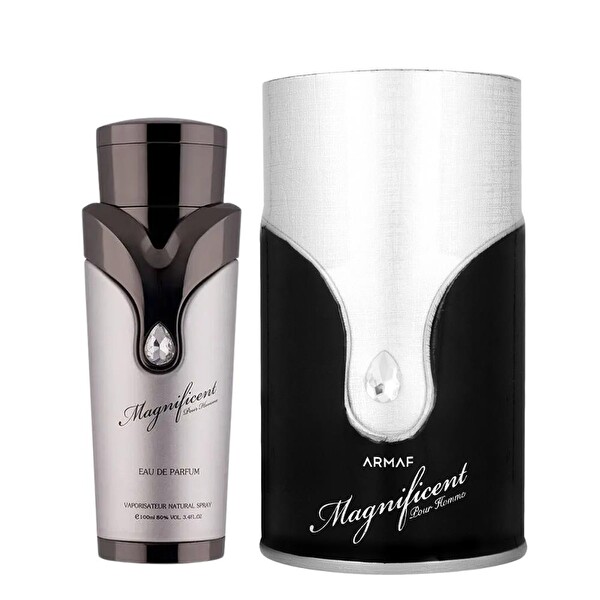 Armaf Magnificent Pour Homme EDP 100 ml Erkek Parfümü