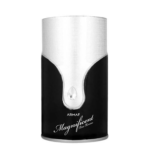 Armaf Magnificent Pour Homme EDP 100 ml Erkek Parfümü
