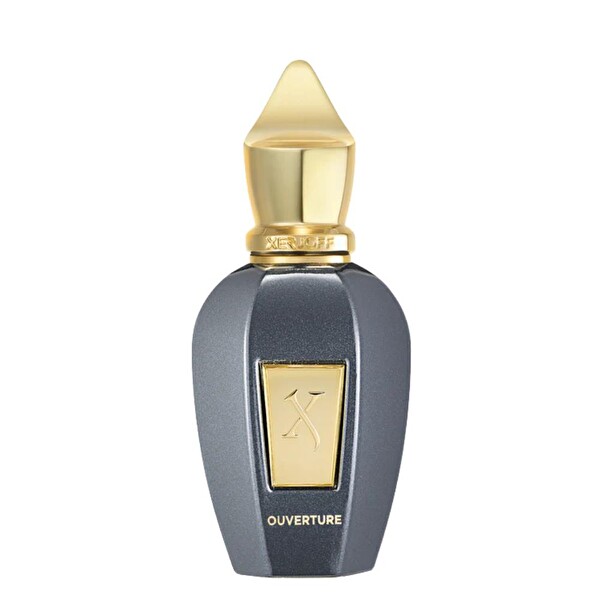 Xerjoff Ouverture EDP 100 ml Unisex Parfüm