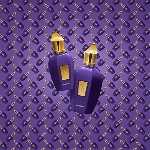 Xerjoff Accento EDP 100 ml Unisex Parfüm