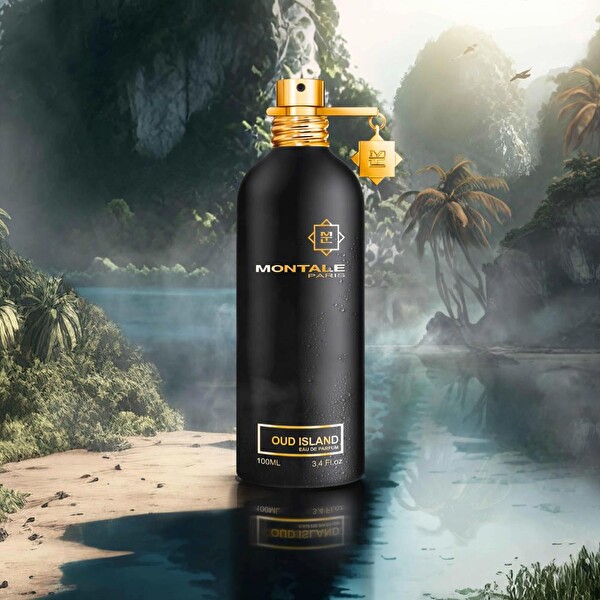 Montale Oud Island EDP 100 ml Unisex Parfüm