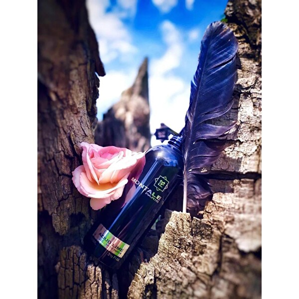 Montale Aoud Lime EDP 100 ml Unisex Parfüm
