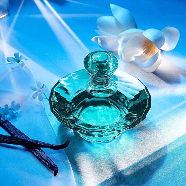 Britney Spears Curious EDP 100 ml Kadın Parfümü