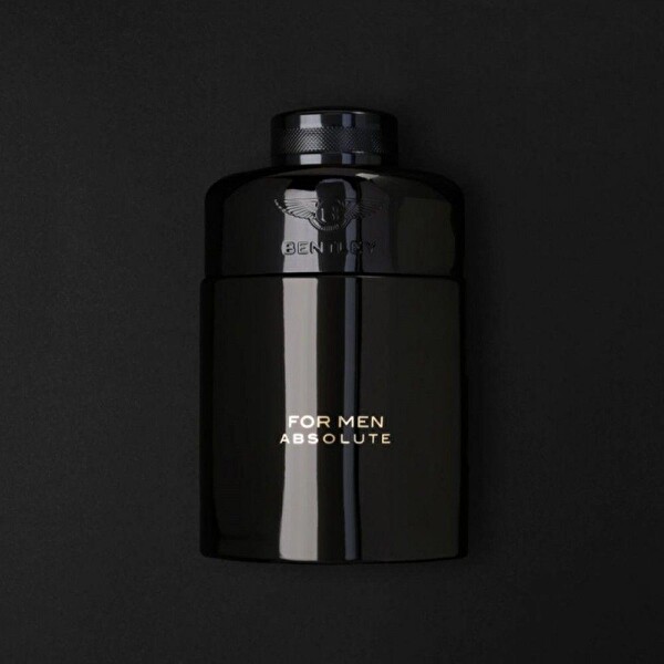 Bentley Absolute EDP 100 ml Erkek Parfümü