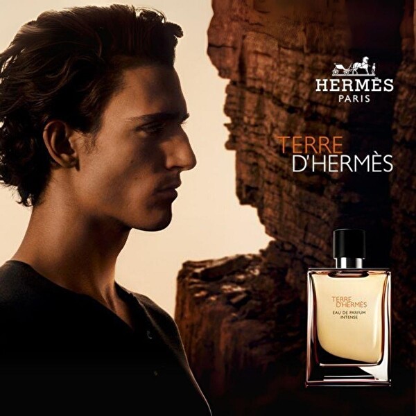 Hermes Terre D'Hermes EDT 200 ml Erkek Parfümü