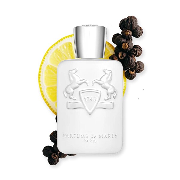 Parfums de Marly Galloway EDP 125 ml Unisex Parfüm